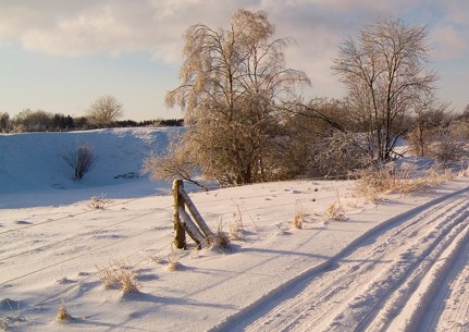 Vinterkoncert for Musikværksted fredag d. 6. februar kl. 17.00-17.45